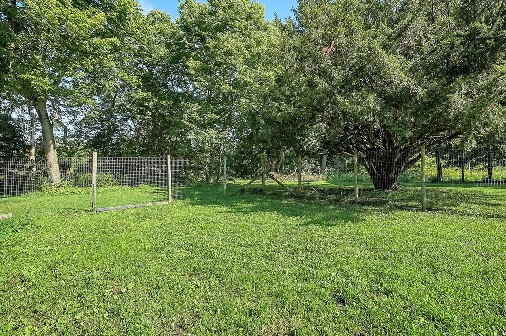 Property Image 61