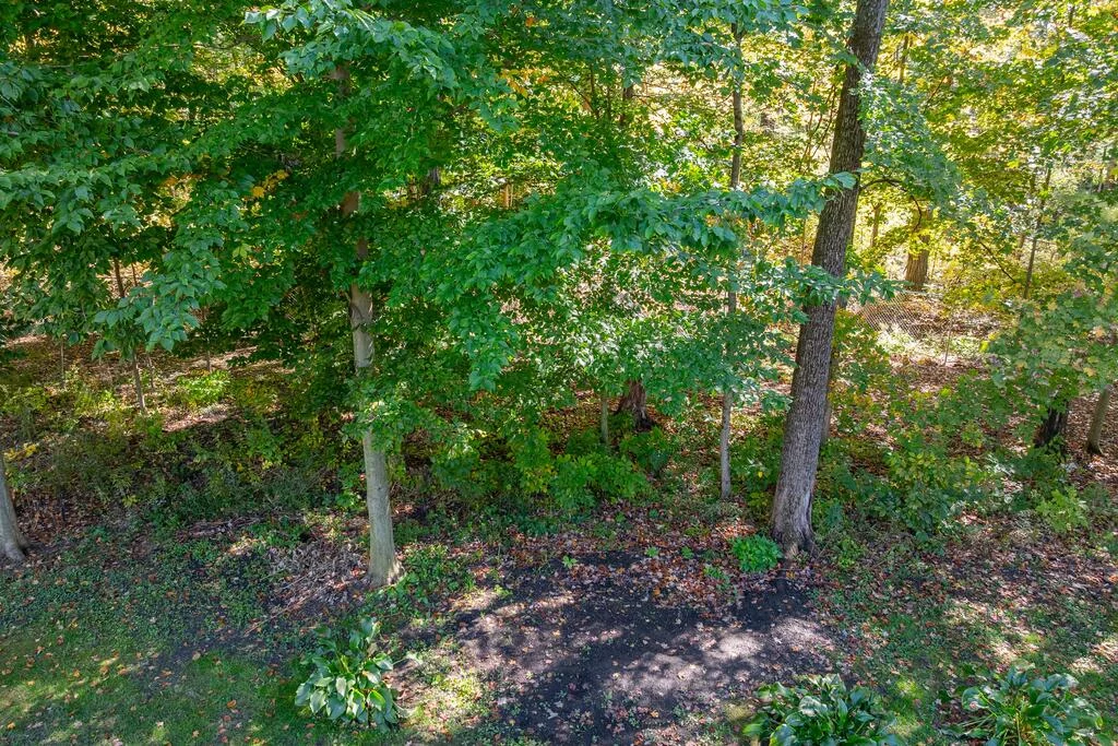 Property Image 81