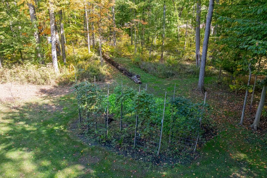 Property Image 83