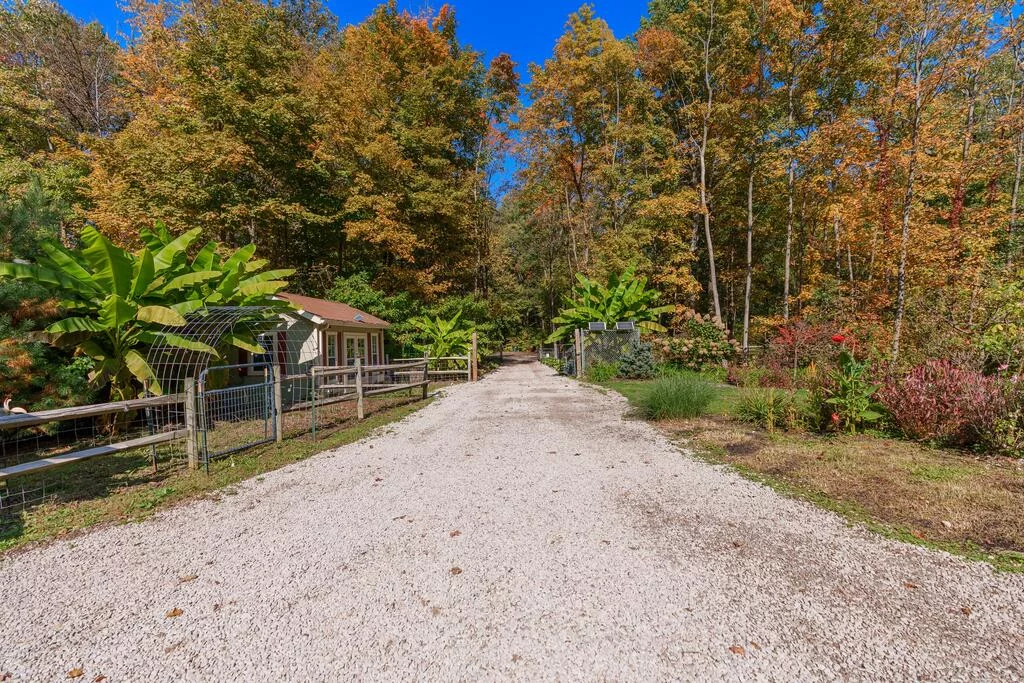Property Image 88