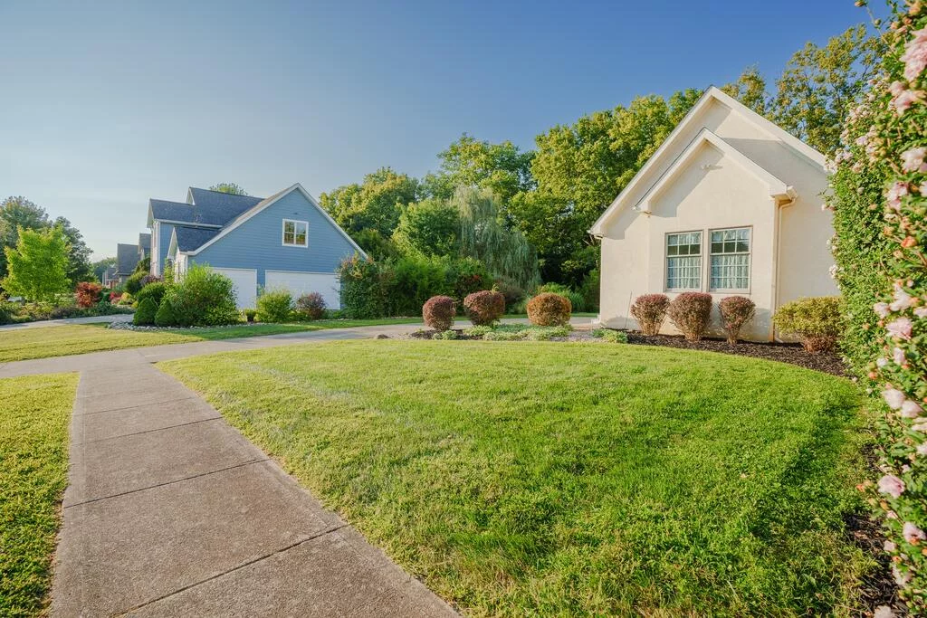 Property Image 88