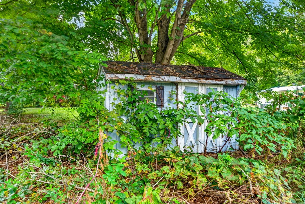 Property Image 59