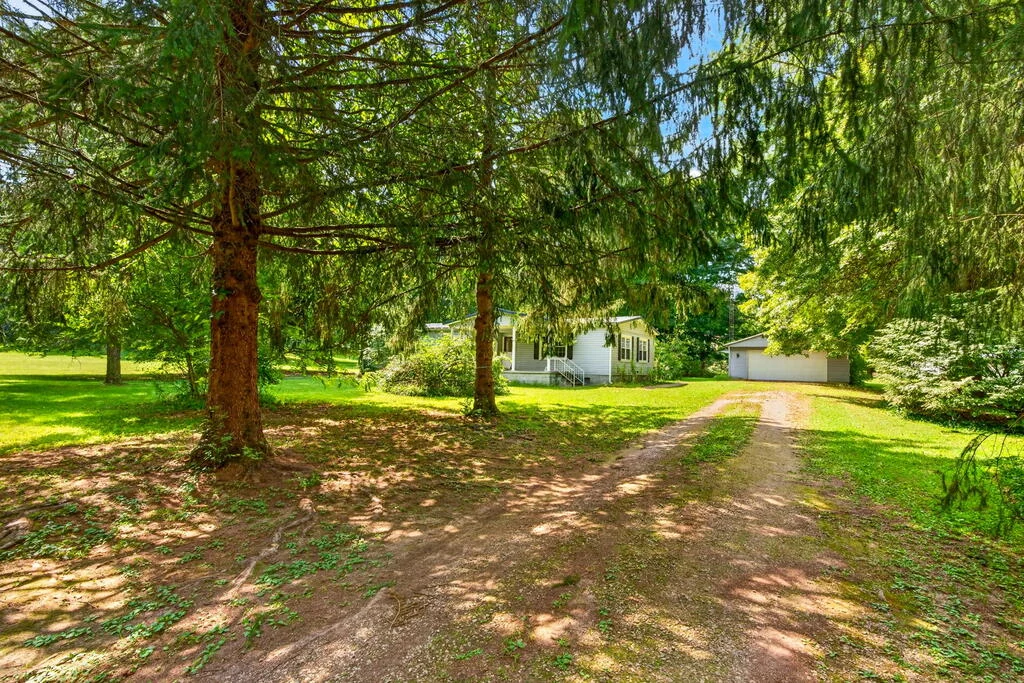 Property Image 60