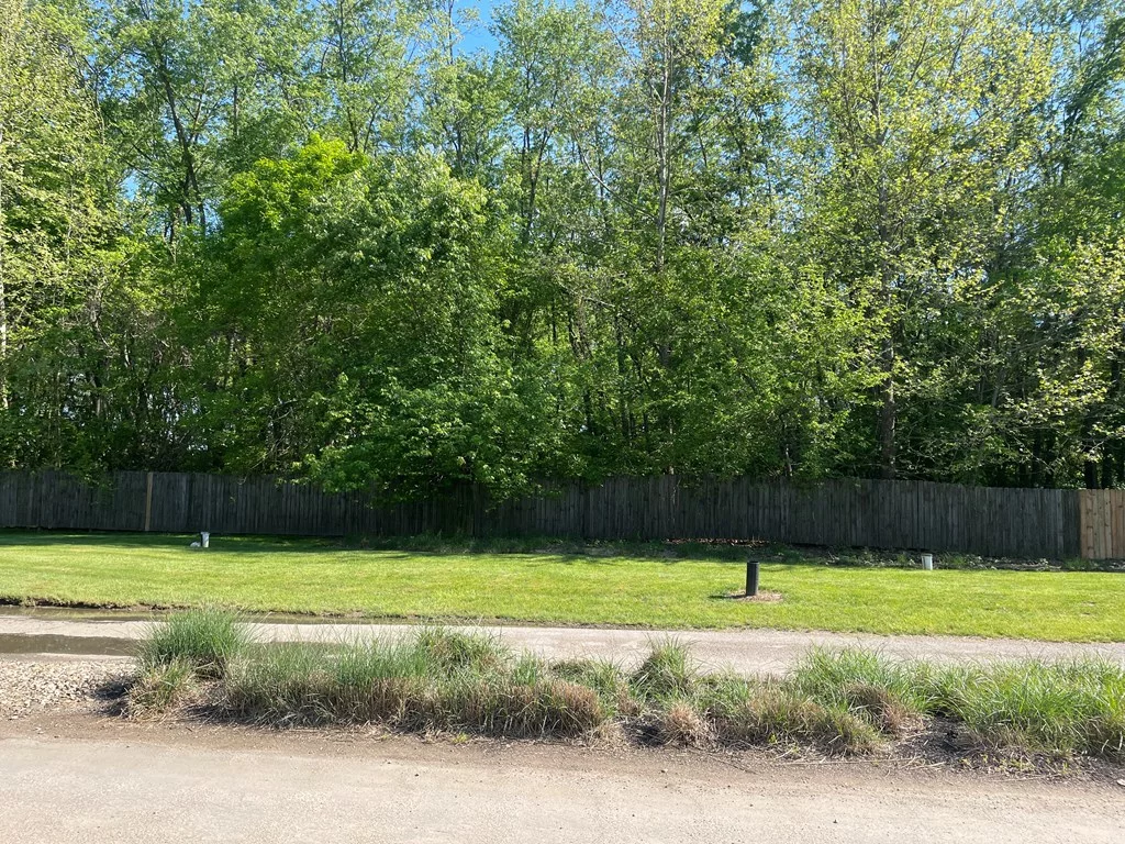 Property Image 87