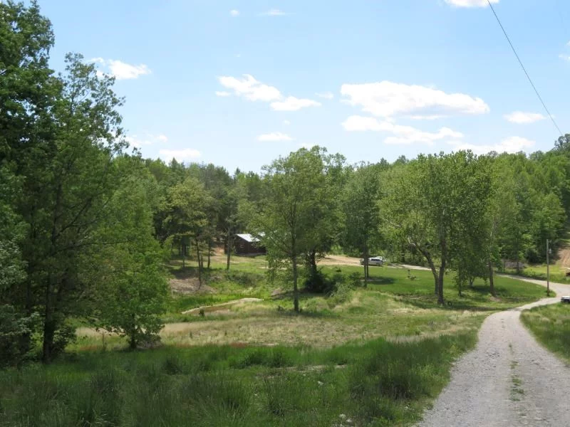 Property Image 25