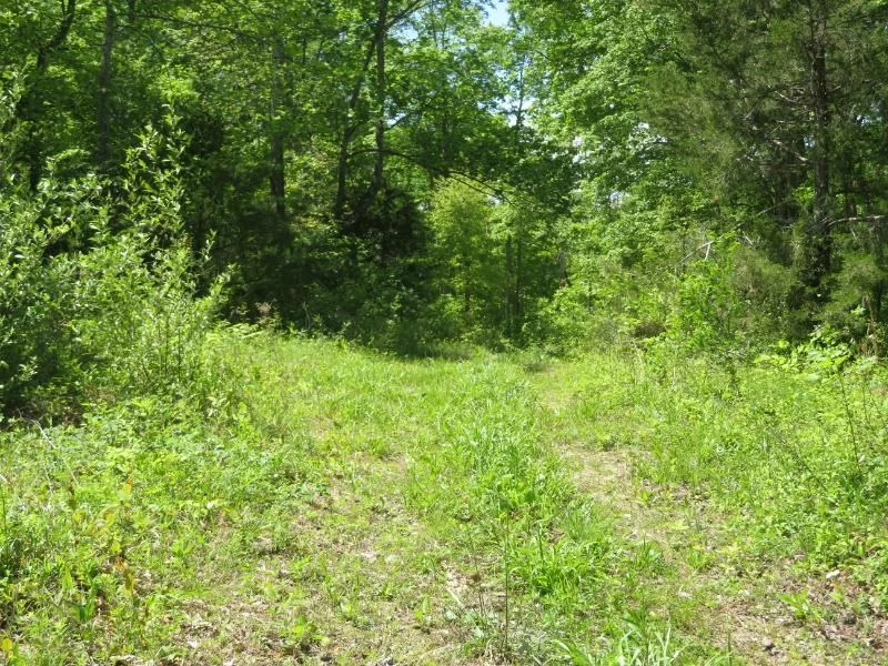 Property Image 31