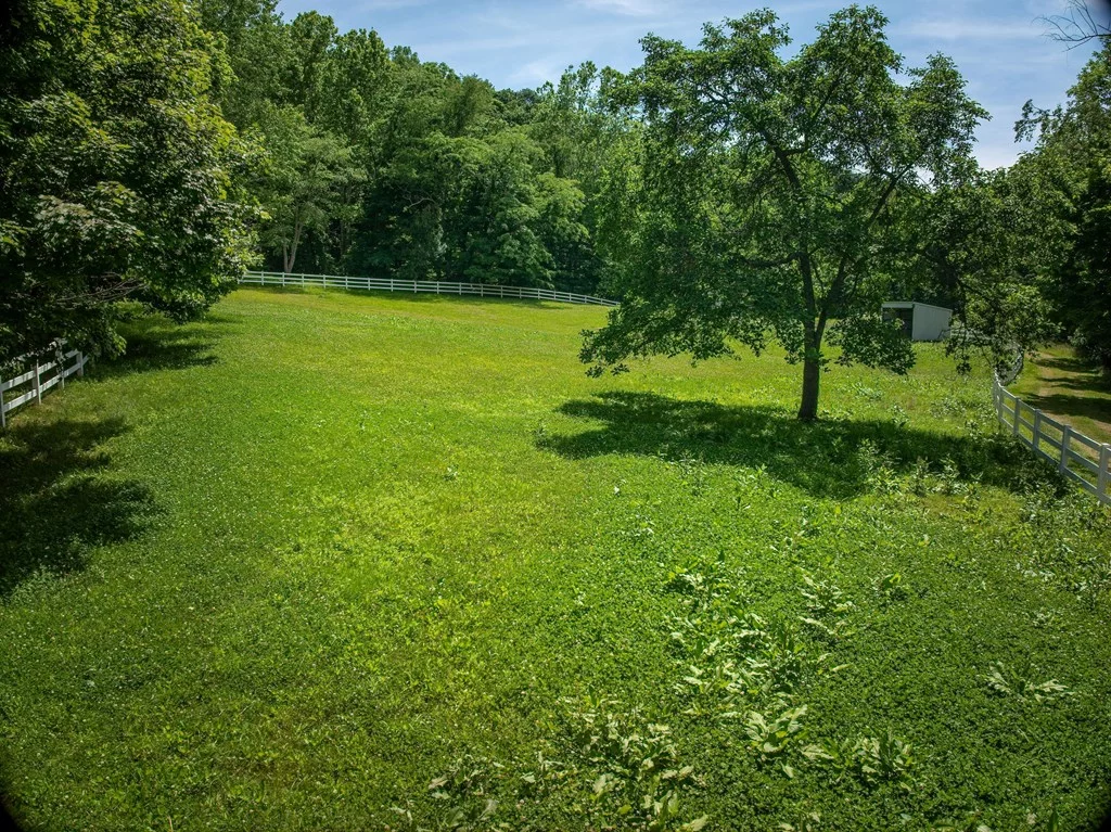 Property Image 86