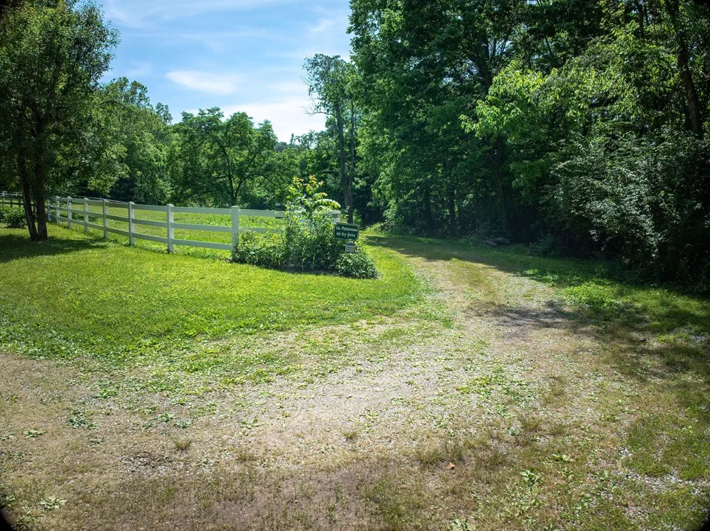 Property Image 89