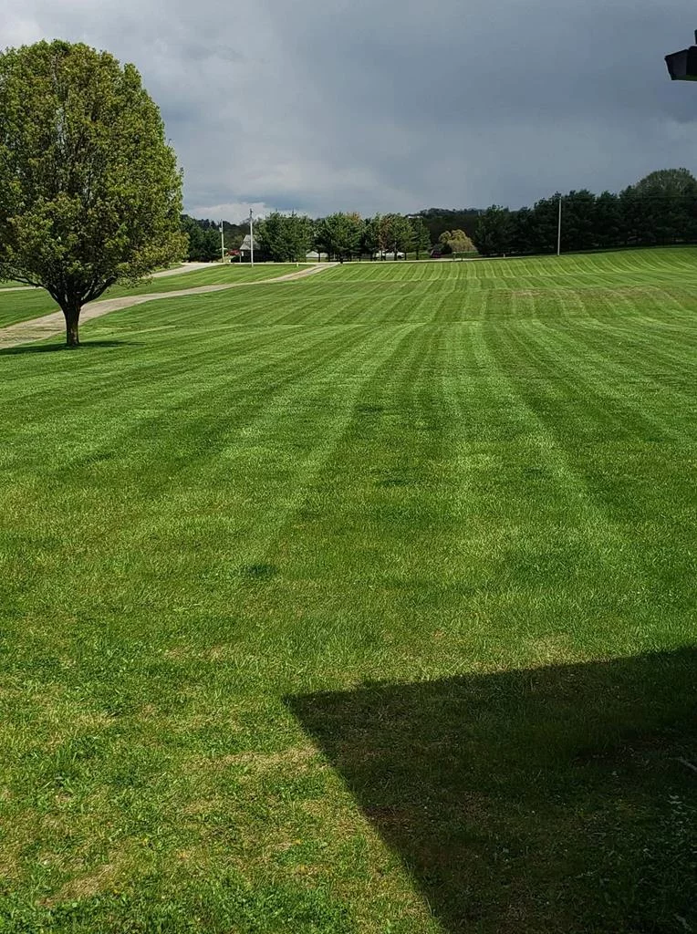 Property Image 54
