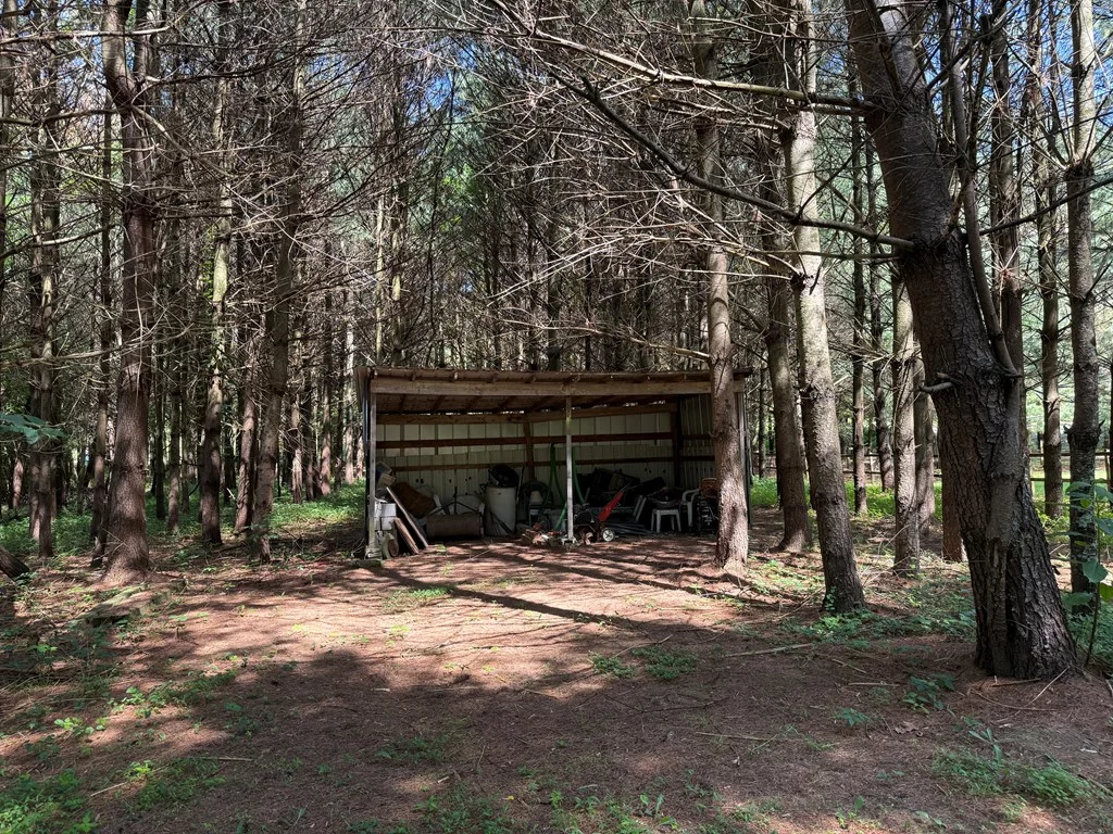 Property Image 40