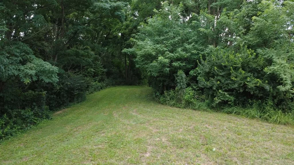 Property Image 34