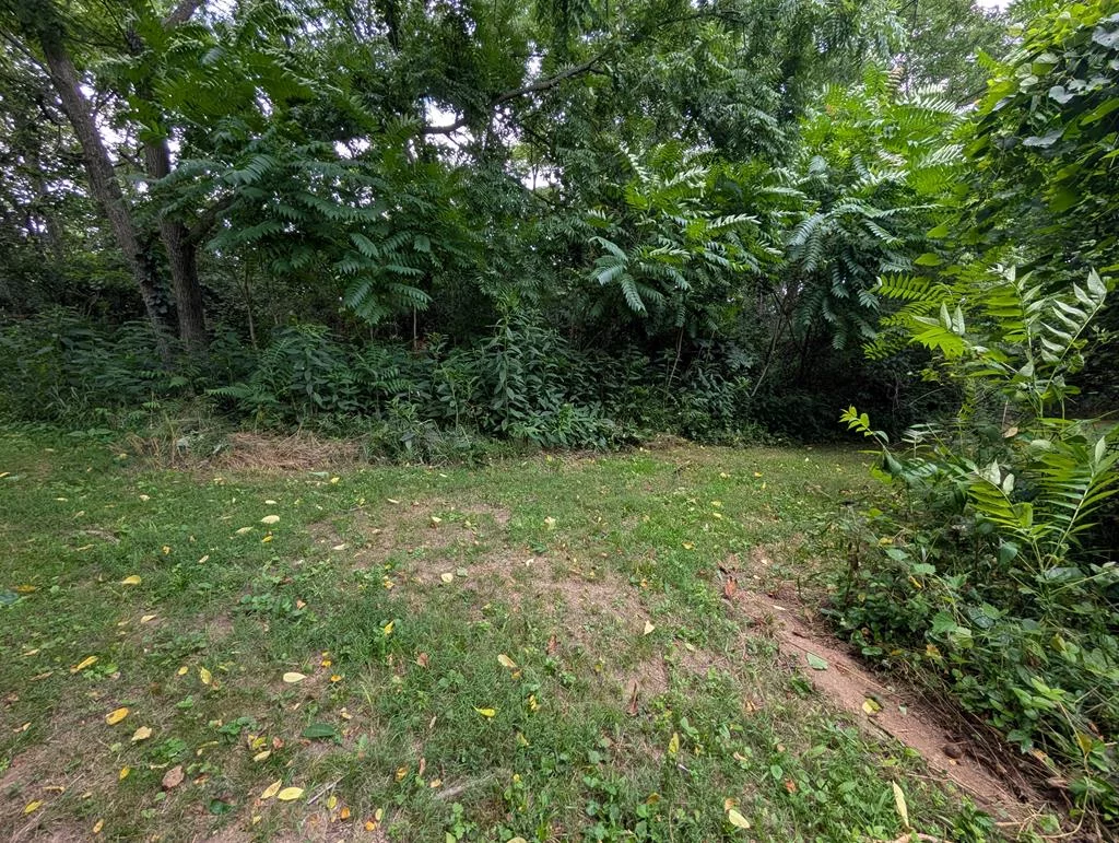 Property Image 40