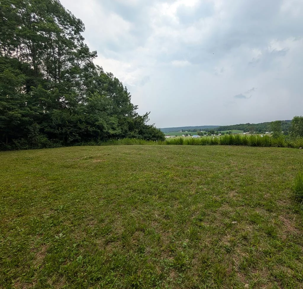 Property Image 43