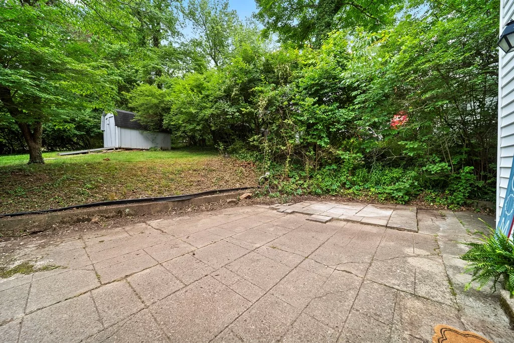 Property Image 49