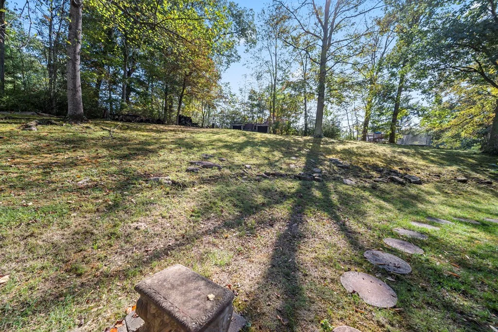 Property Image 69