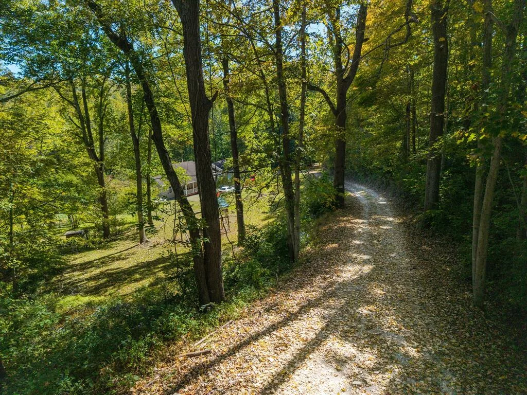 Property Image 63