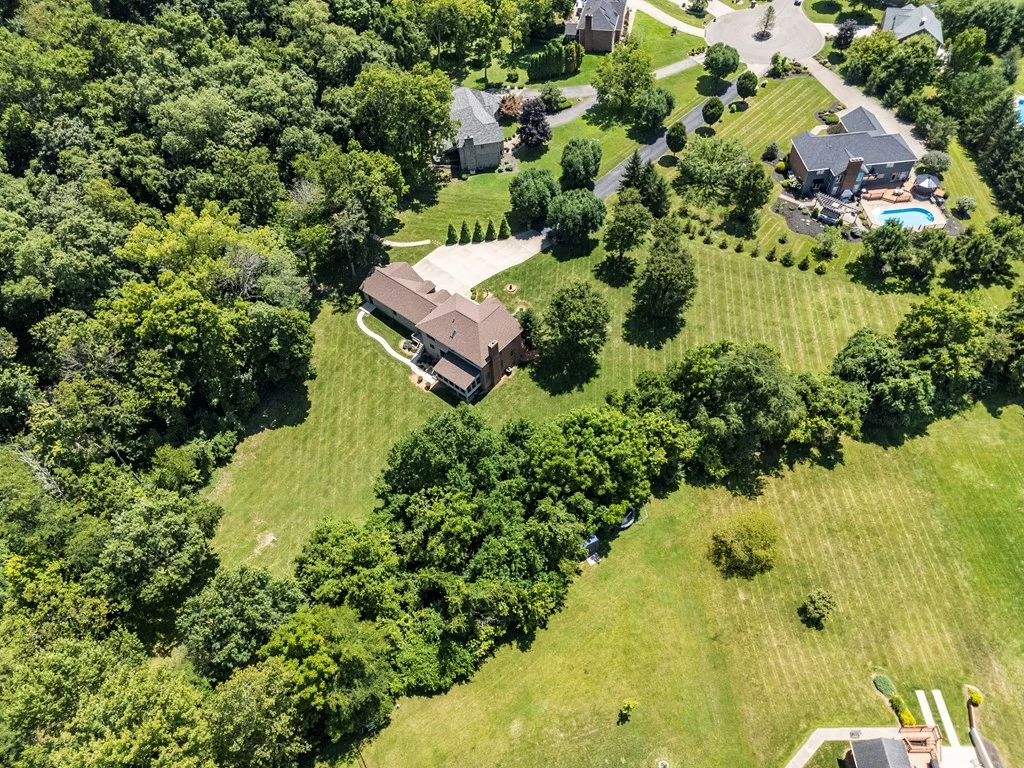Property Image 61