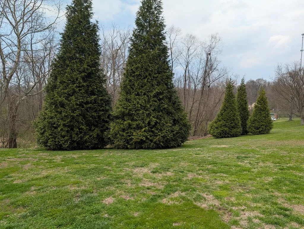Property Image 67