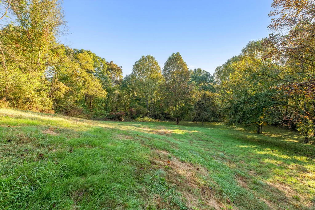 Property Image 82