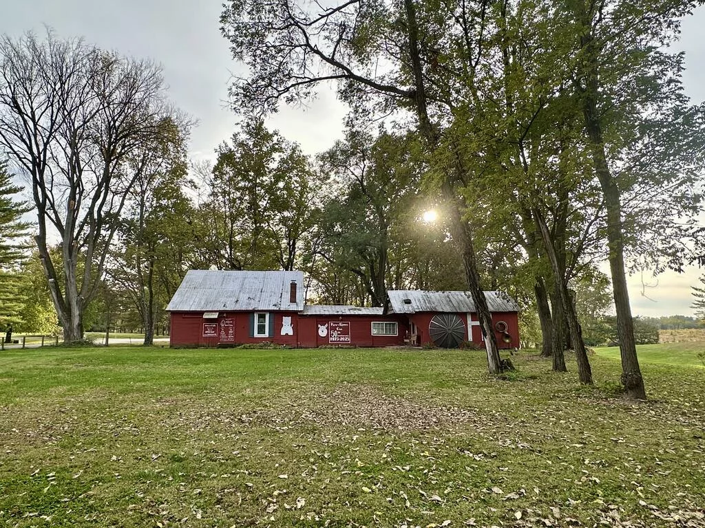 Property Image 4
