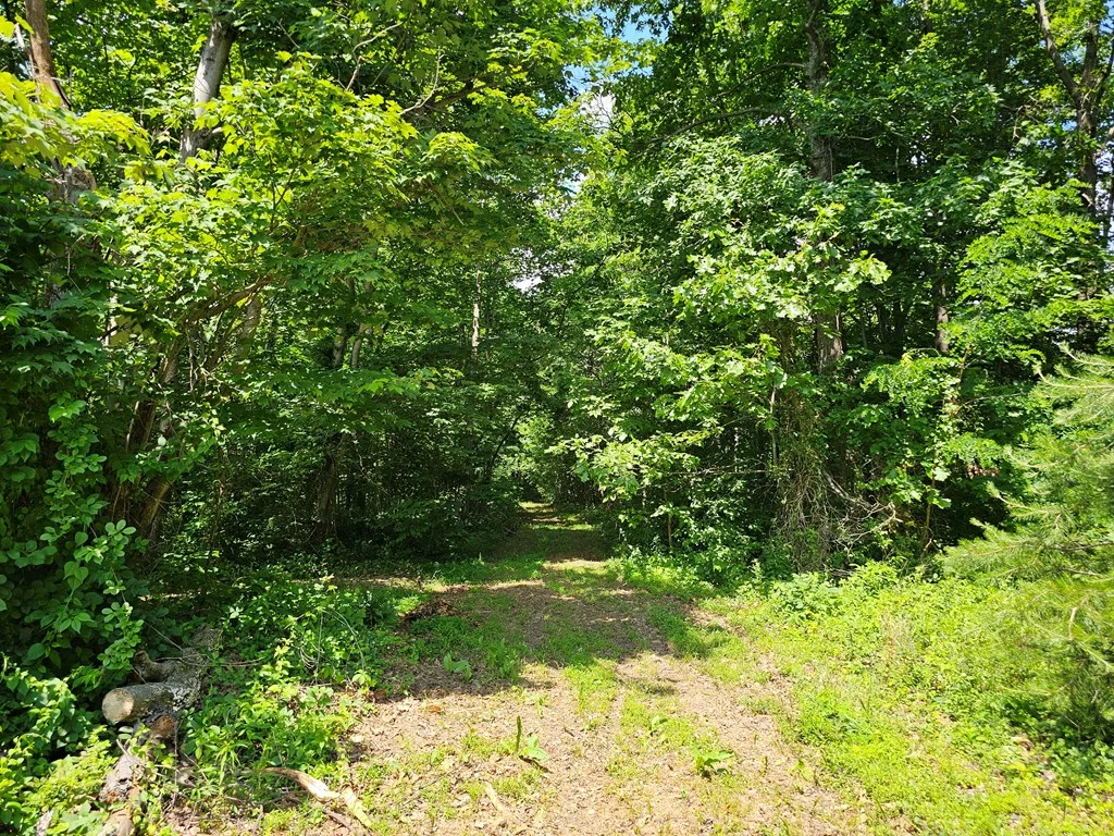 Property Image 33