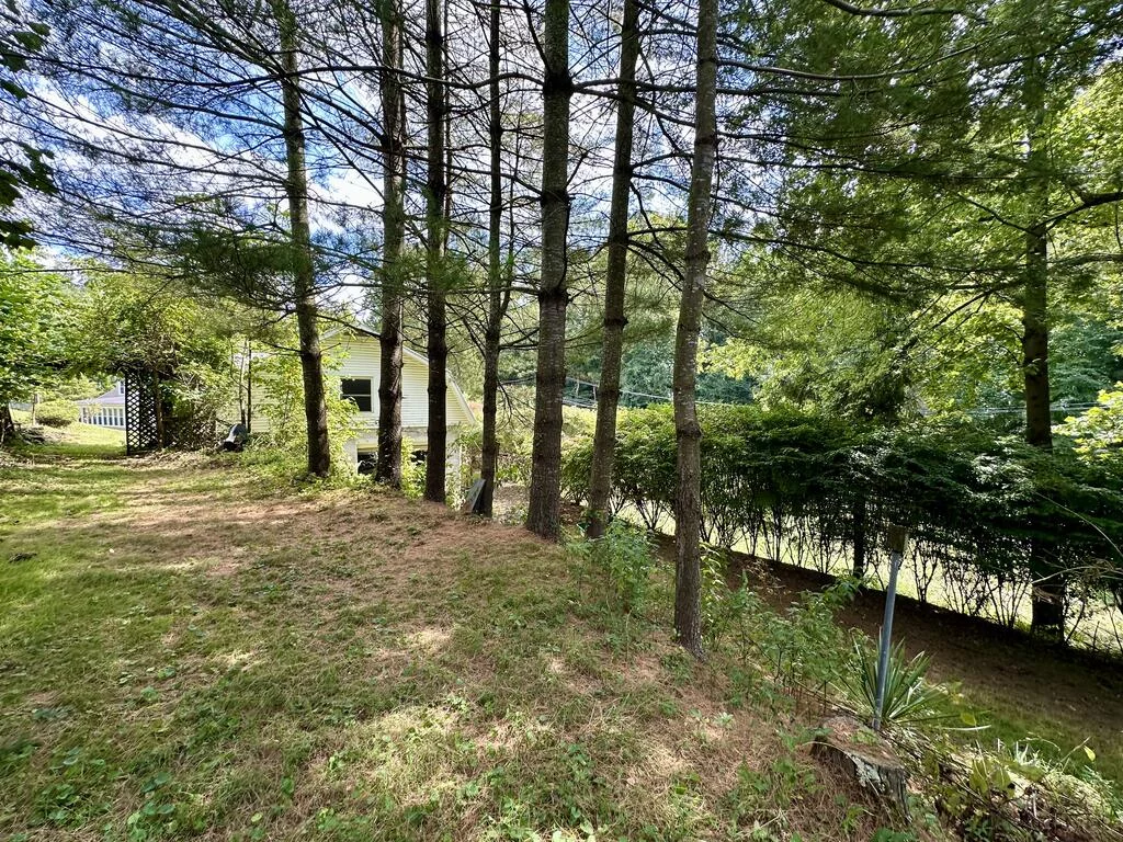 Property Image 89