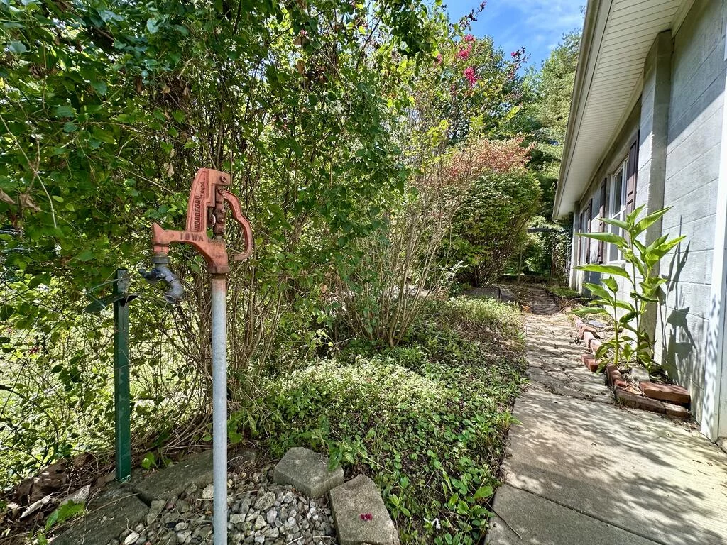 Property Image 95