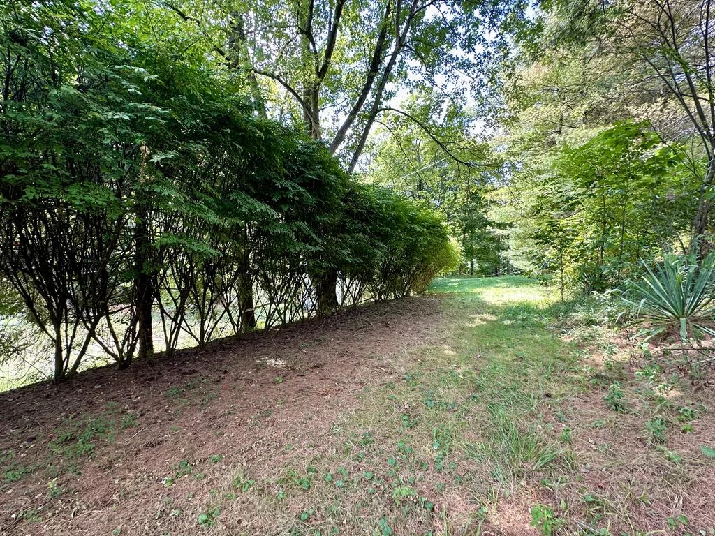 Property Image 98