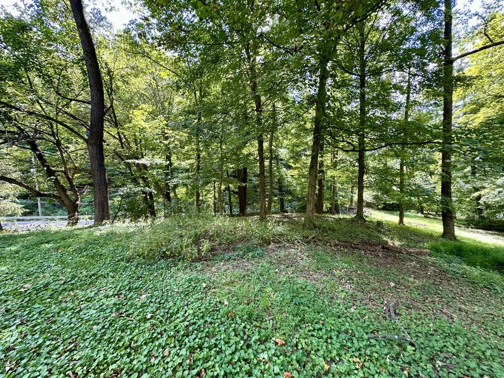 Property Image 100