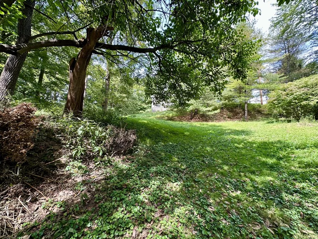 Property Image 110