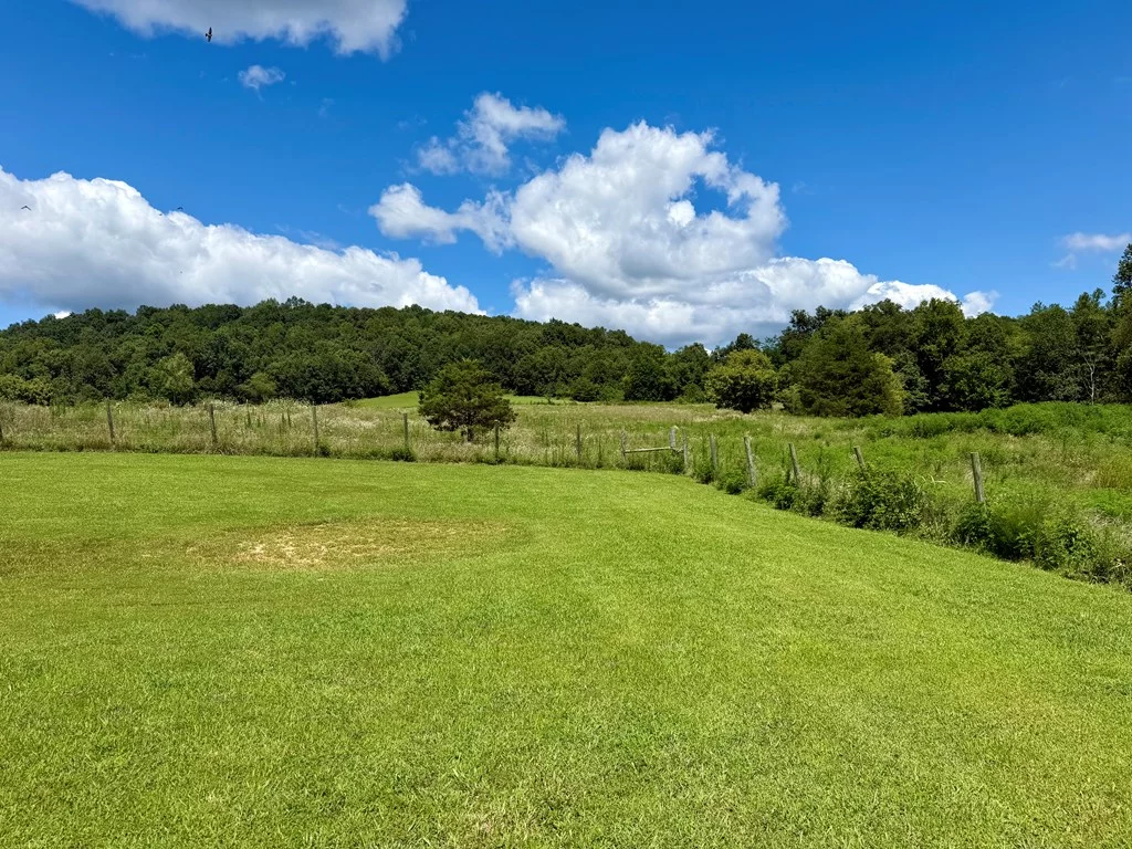 Property Image 61