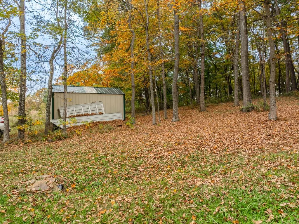 Property Image 61