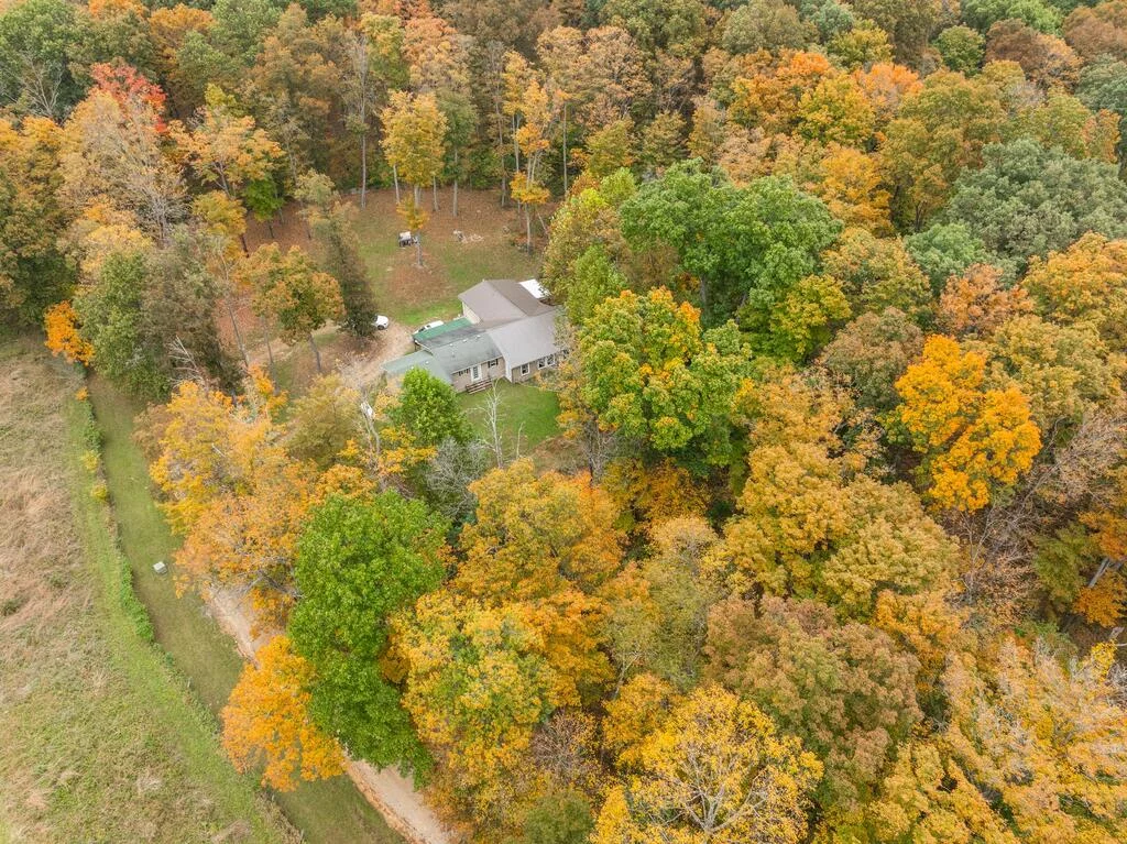 Property Image 62