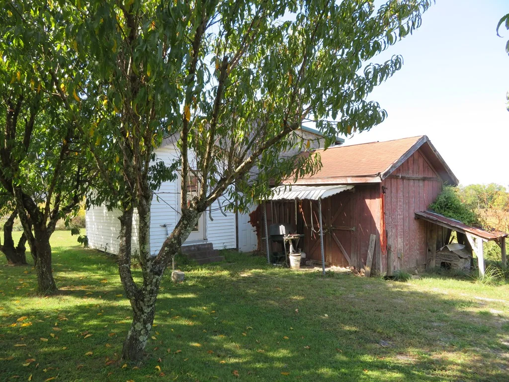 Property Image 41