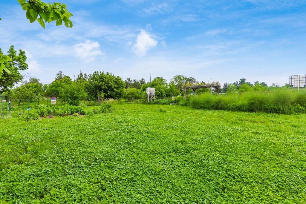 Property Image 76