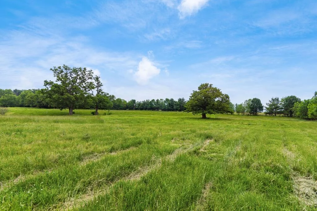 Property Image 100