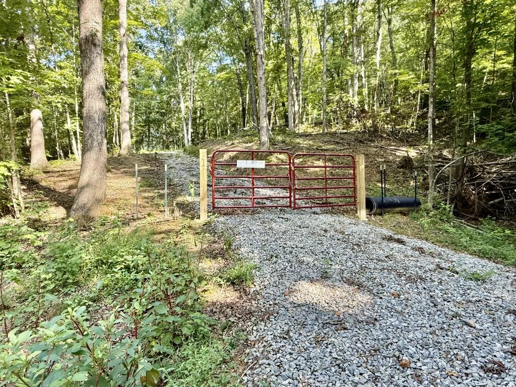 Property Image 6