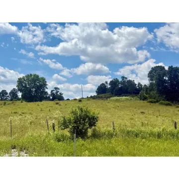 0 N SIDE U. S. Rt. 50, W. Bainbridge OH 45612 Land