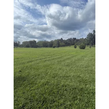 311 Buchanan Road Waverly OH 45690 Land