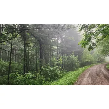 Walnut Grove Road McArthur OH 45651 Land