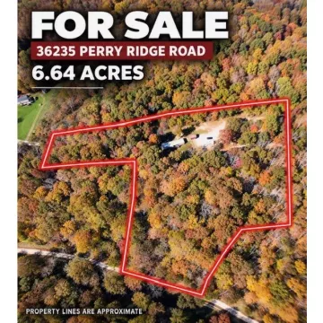 36235 Perry Ridge Rd Wilkesville OH 45695 Land