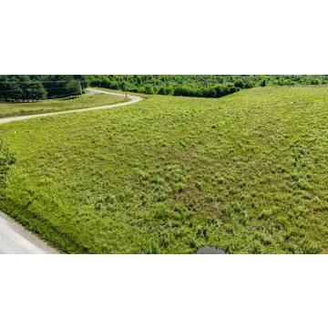 38040 Buck Run Rd. Albany OH 45710 Land