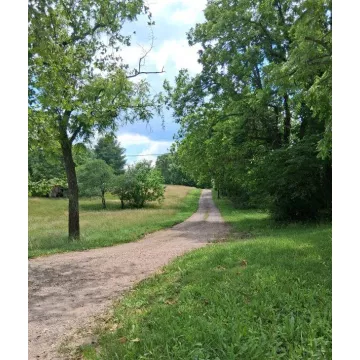 4202 Jisco West Road Jackson OH 45640 Land