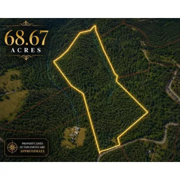 4511 Potts Hill Bainbridge OH 45612 Residential