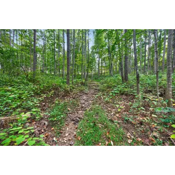 52529 St. Rt. 671 Londonderry OH 45647 Land