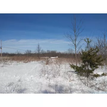 535 Al Leeth Road Waverly OH 45690 Land