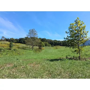 7228 Symmes Creek Road Patriot OH 45658 Land