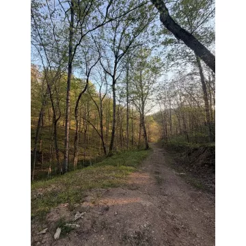 950 Scenic Drive Vinton OH 45686 Land
