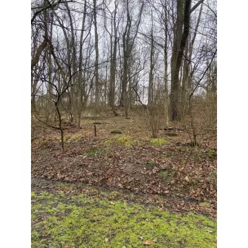 D Street Wellston OH 45692 Land
