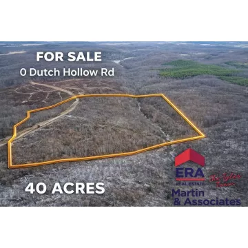 Dutch Hollow Road Beaver OH 45613 Land